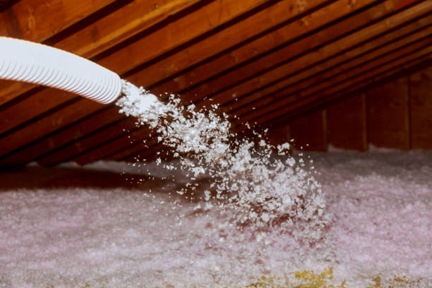 Best Insulation Maintenance and Repair in Daniels Farm, CT