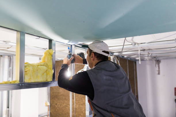 Best Residential Insulation in Daniels Farm, CT